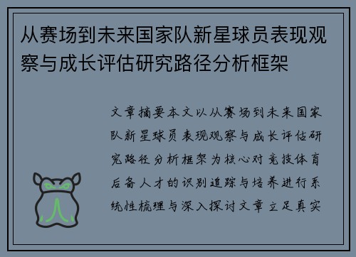 从赛场到未来国家队新星球员表现观察与成长评估研究路径分析框架